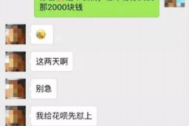 湘西为什么选择专业追讨公司来处理您的债务纠纷？